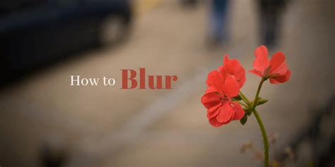 How To Blur Images In Photoshop 3 Ways Detailed Steps
