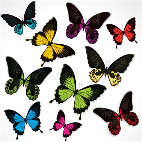 Mariposas monarca vector, gráfico vectorial, imágenes de Mariposas monarca vectoriales de stock ...