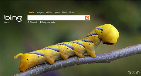 47 Make Bing Homepage Wallpaper On Wallpapersafari