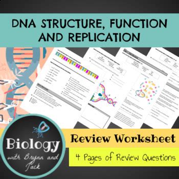 Dna structure teacher guide from dna structure and replication worksheet , source: DNA Structure, Function and Replication Practice Worksheet ...