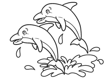 Los Mejores Dibujos De Delfines Para Colorear 🥇