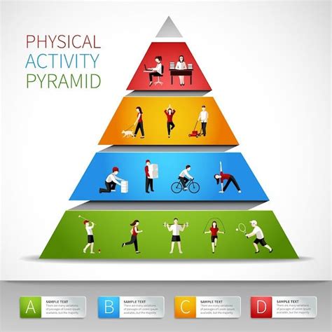 Where On The Physical Activity Pyramid Do Sedentary Activities Belong