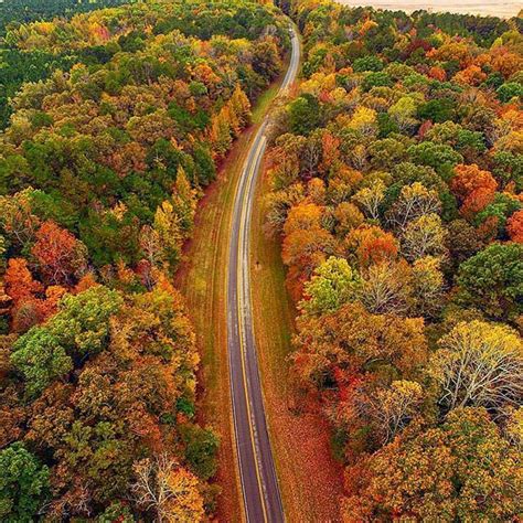 Fall Foliage Along The 440 Mile Natchez Trace Trail That Treks The