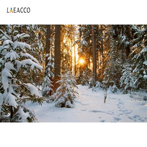 Laeacco Winter Snow Forest Trees Sunset Scenic Portrait Photography