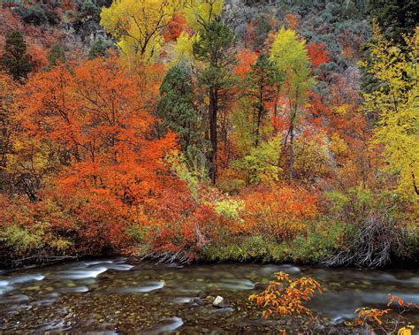 Autumn Creek Photograph By Leland D Howard Fine Art America