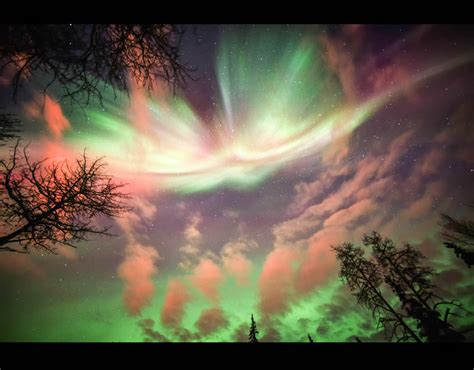 The Northern Lights Illuminate The Night Sky In The North Pole Alaska