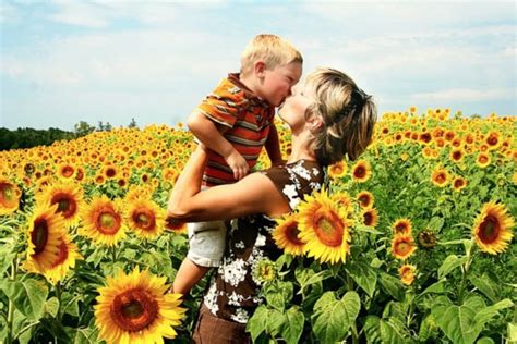 A Neverending Sunflower Field In Massachusetts Colby Farm Is Full Of