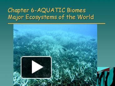 PPT Chapter 6 AQUATIC Biomes Major Ecosystems Of The World PowerPoint
