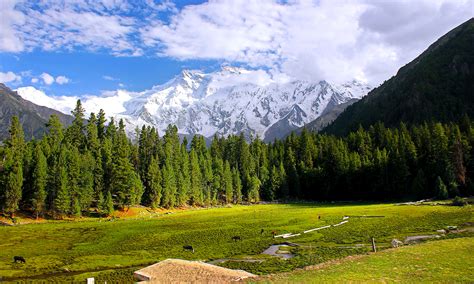 Wiki Loves Earth Shortlists Top 10 Photos In Pakistan Round Pakistan
