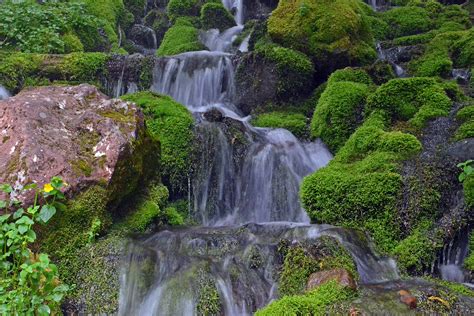 Spray Falls In Mount Rainier National Park Travel Photography And