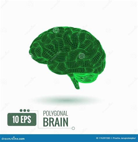 Glowing Wireframe Brain Illustration Stock Vector Illustration Of