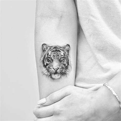 Tiger Tattoo Tatuaje De Tigre Tatuaje De Tigre Pequeño Tatuaje De