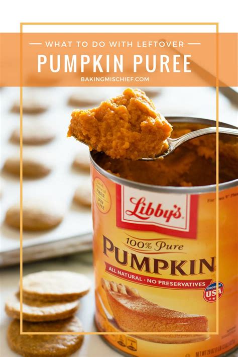 Add enough light cream or milk to crumbled cornbread to create a crust and press it into the bottom of a baking dish. What to Do With Leftover Pumpkin Puree - Baking Mischief