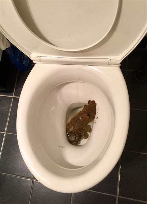 Toilet With Poop