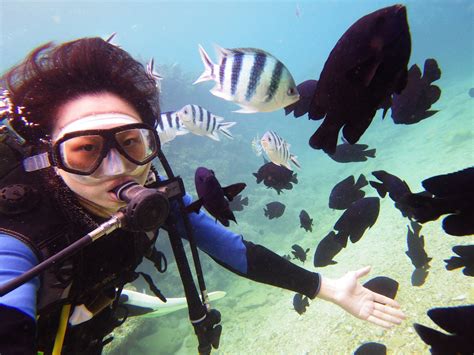 體驗潛水 沖繩潛水 Okinawa Diving