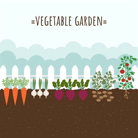 Vegetable Garden Vector 202996 Vector Art At Vecteezy