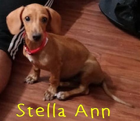 Stella Anns Web Page