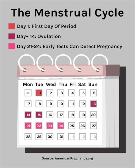pregnancy calculator by ovulation date daryllbubune