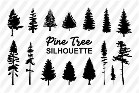 Pine Trees Silhouette Svg Bundle Vectorency
