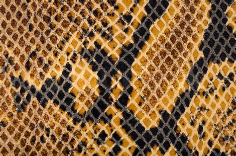 Snake Skin Leather Texture Stock Image Colourbox