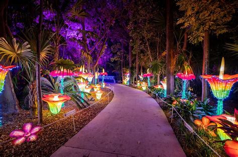 Visit Luminosa Jungle Island In Florida A Chinese Lantern Festival
