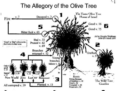 Allegory Of Olive Tree Gospel To File Pinterest