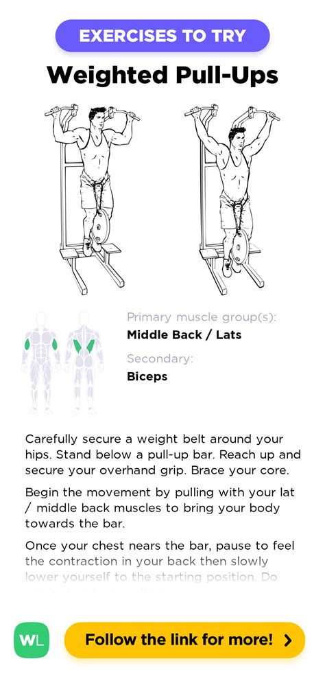 Weighted Pull Ups Pullups Workoutlabs Exercise Guide