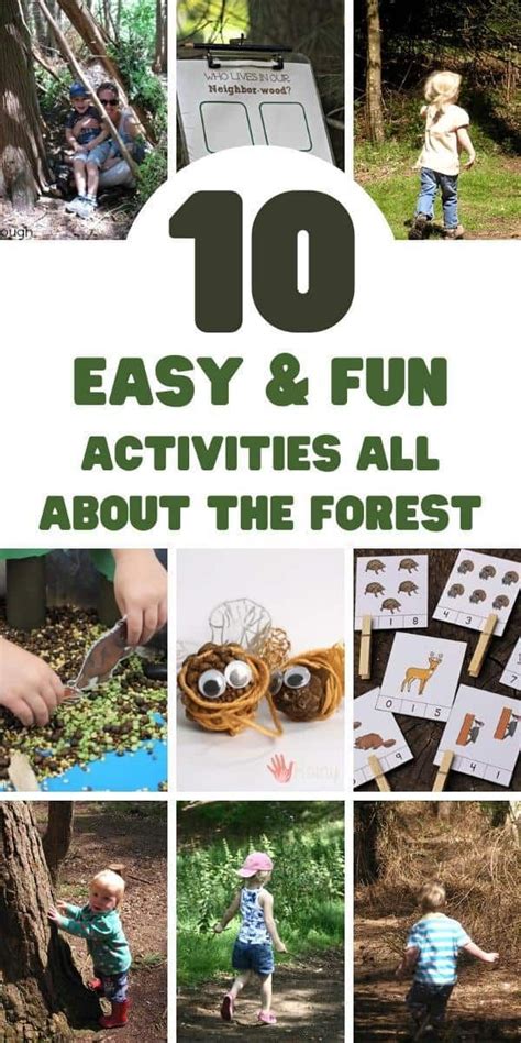 Forest Themed Activities For Toddlers And Preschoolers Fun Activities
