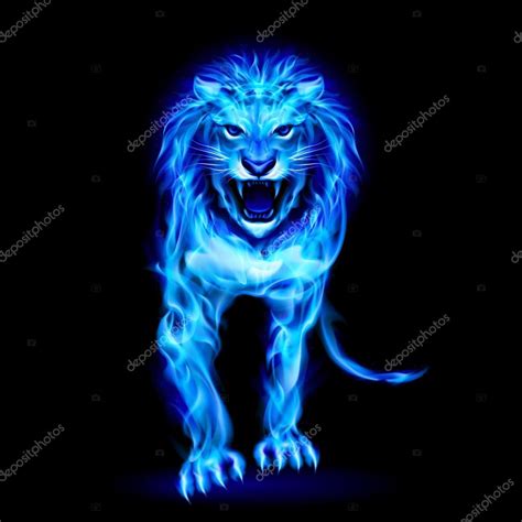 Blue Fire Lion Stock Vector By ©dvargg 45334623