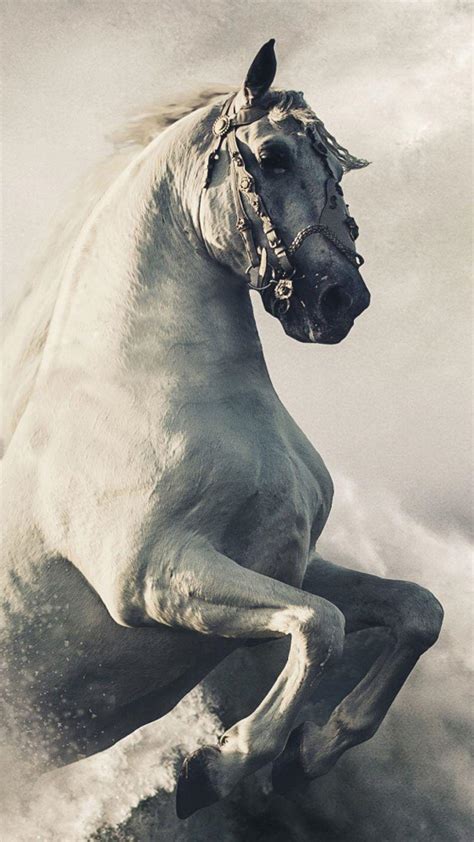 10 Horse Wallpaper Images