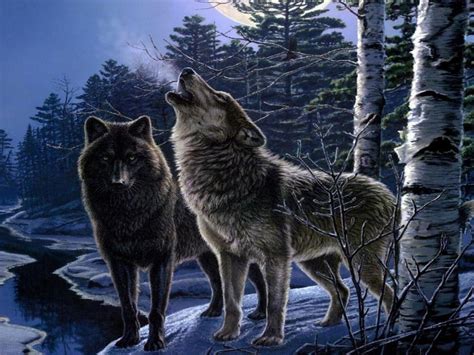 Fantasy Original Art Artistic Artwork Wolf Wolves Wallpaper 1920x1440