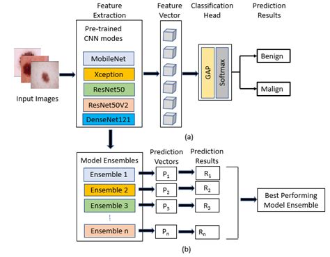 Deep Learning Models For Melanoma Skin Cancer Detection A Schematic