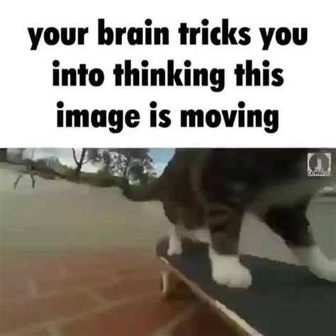 Your Brain Tricks You Into Thinking This Image Is Moving Ifunny