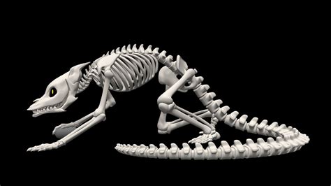 Skeleton Monster 3d Model By Bionickiwi Lizdrybread Matheny