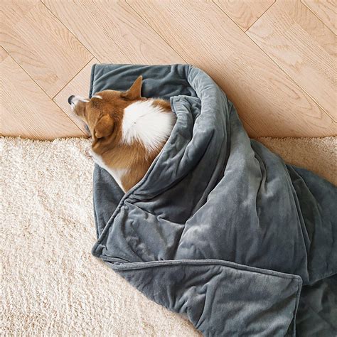 Weighted Dog Stress And Anxiety Blanket