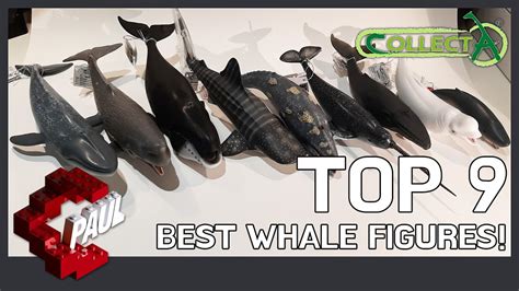 Collecta Best Whale Figures Top 9 Review Compare The Size Color