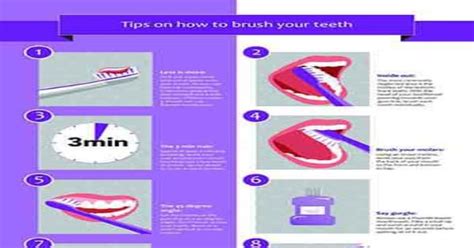 Tips On How To Brush Your Teeth Infographic Infographics