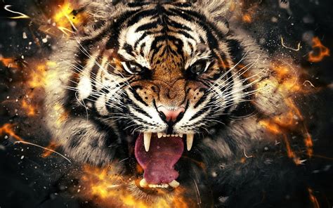 1920x1080px 1080p Free Download Tiger Backgrounds 62113 Scary Tiger