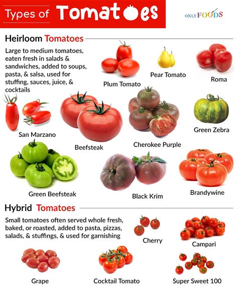 Types Of Peppers Types Of Tomatoes Small Tomatoes Plum Tomatoes