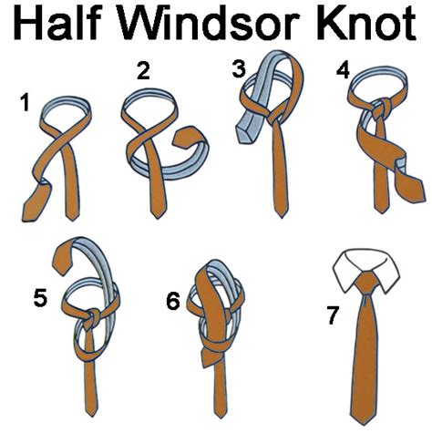 Ties.comgives a full walkthrough and video in this guide. Half Windsor Knot | How to tie a tie