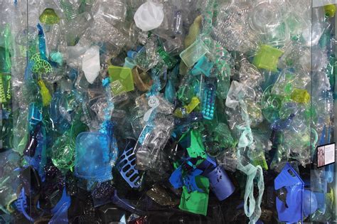 Aquarium Conservation Partnership Moves To Stop Plastic Pollution