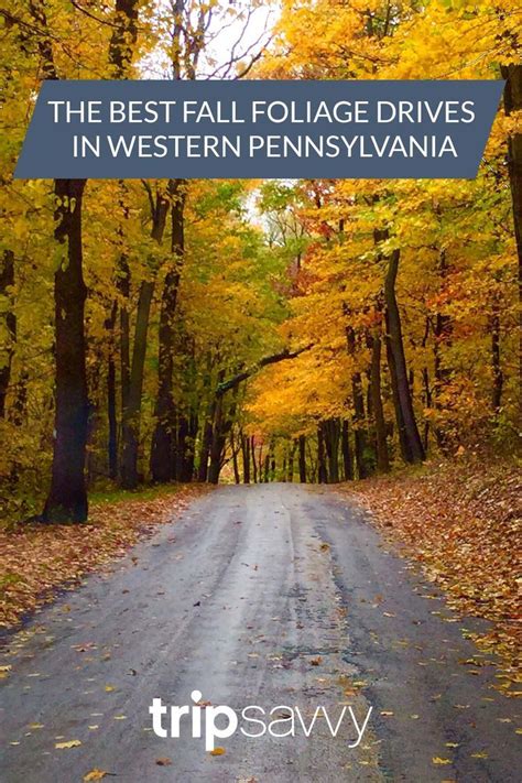 Pennsylvania Travel Autumn Drives Covered Bridges Fall Foliage