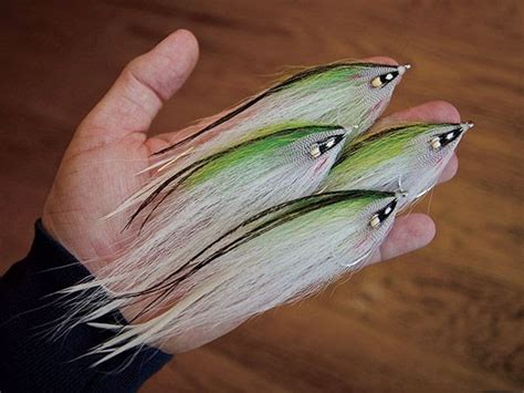 Saltwater Striped Bass Flies Popular Century