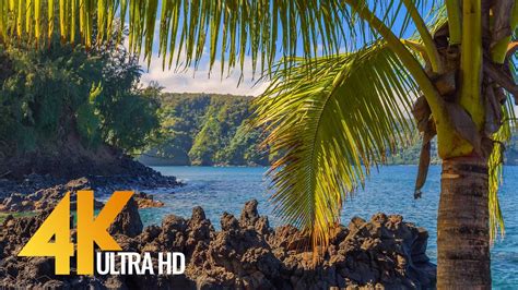 Tropical Beaches Of Maui Island 4k Relaxation Video With Waves Sounds