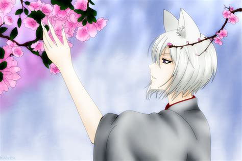 Kamisama Kiss Tomoe Wallpaper 36627426 Fanpop