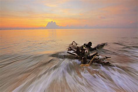 Sea Beach Driftwood Sand Wallpaper Coolwallpapersme