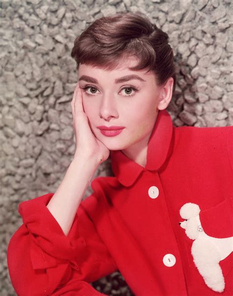 Audrey Durng The Filming Of Sabrina 1954 Audrey Hepburn Photo