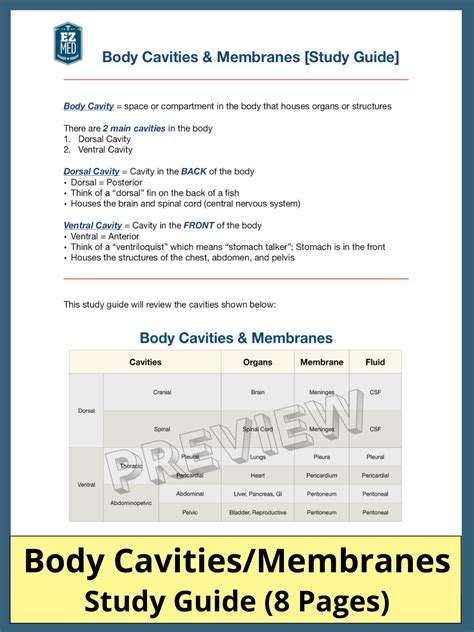 Body Cavities Organs And Membranes Pdf Anatomy Labeled Diagram — Ezmed