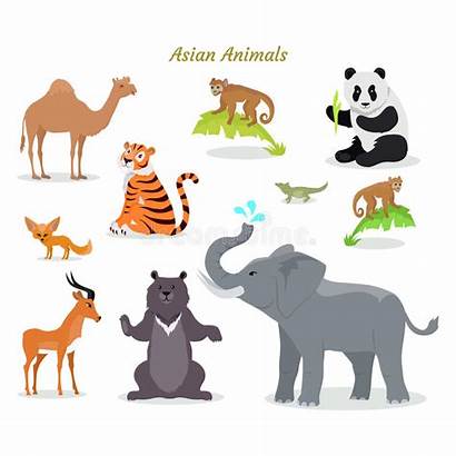 Animals Asian Monkey Species Camel Predators Nature