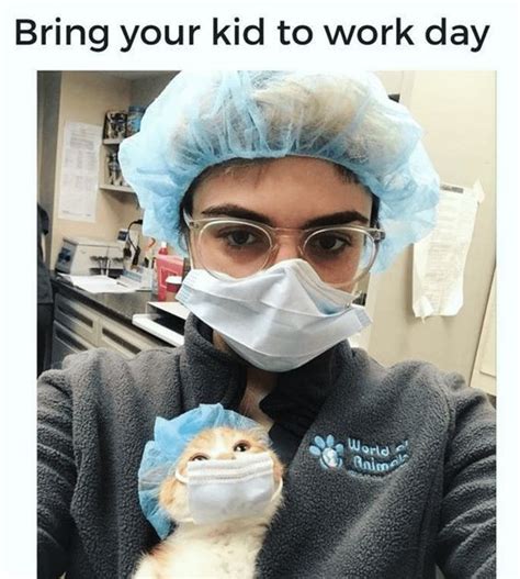 It just sums up the craziness of this year so perfectly. she believes that people will still mention 2020 occasionally in the future. Bring Your Fur Baby To Work Day in 2020 | Cute animal ...